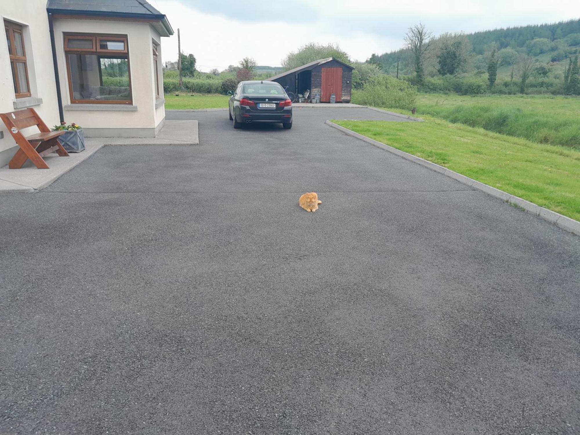Nature'S Rest Carrick on Shannon Exterior foto